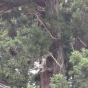 ヒメ日記 2025/10/15 09:21 投稿 中沢　つき ギン妻パラダイス 谷九店