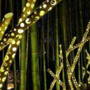 ヒメ日記 2025/10/24 08:56 投稿 中沢　つき ギン妻パラダイス 谷九店