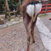 ヒメ日記 2025/11/04 08:45 投稿 中沢　つき ギン妻パラダイス 谷九店