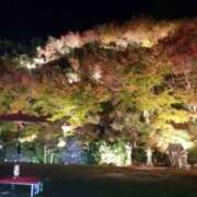 ヒメ日記 2025/11/11 08:43 投稿 中沢　つき ギン妻パラダイス 谷九店