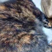 ヒメ日記 2025/11/21 21:23 投稿 中沢　つき ギン妻パラダイス 谷九店