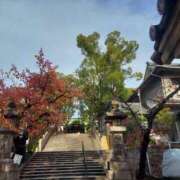 ヒメ日記 2025/12/02 08:50 投稿 中沢　つき ギン妻パラダイス 谷九店