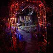 ヒメ日記 2025/12/03 17:53 投稿 中沢　つき ギン妻パラダイス 谷九店