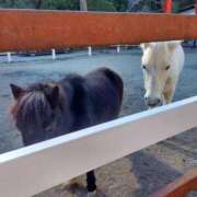 ヒメ日記 2025/12/05 19:50 投稿 中沢　つき ギン妻パラダイス 谷九店