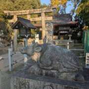 ヒメ日記 2025/12/10 08:38 投稿 中沢　つき ギン妻パラダイス 谷九店