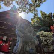 中沢　つき おはようございます♪ ギン妻パラダイス 谷九店