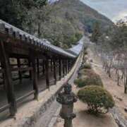 ヒメ日記 2026/01/06 08:47 投稿 中沢　つき ギン妻パラダイス 谷九店