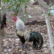 ヒメ日記 2026/02/18 08:36 投稿 中沢　つき ギン妻パラダイス 谷九店