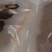 ヒメ日記 2026/02/19 22:15 投稿 中沢　つき ギン妻パラダイス 谷九店