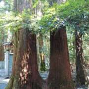 ヒメ日記 2026/02/21 08:49 投稿 中沢　つき ギン妻パラダイス 谷九店