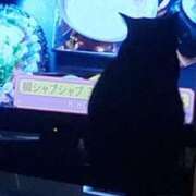 ヒメ日記 2026/03/07 09:25 投稿 中沢　つき ギン妻パラダイス 谷九店