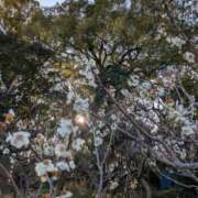 ヒメ日記 2026/03/09 09:05 投稿 中沢　つき ギン妻パラダイス 谷九店