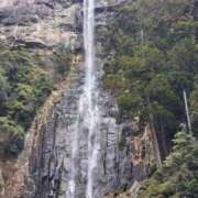 ヒメ日記 2026/03/10 08:36 投稿 中沢　つき ギン妻パラダイス 谷九店