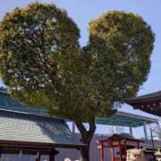 ヒメ日記 2026/03/18 08:44 投稿 中沢　つき ギン妻パラダイス 谷九店