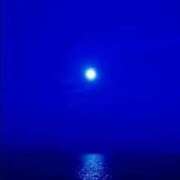 ヒメ日記 2026/03/19 08:48 投稿 中沢　つき ギン妻パラダイス 谷九店