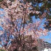 ヒメ日記 2026/03/19 22:25 投稿 中沢　つき ギン妻パラダイス 谷九店