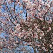 ヒメ日記 2026/03/25 19:06 投稿 中沢　つき ギン妻パラダイス 谷九店