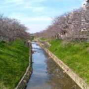 ヒメ日記 2026/03/26 08:49 投稿 中沢　つき ギン妻パラダイス 谷九店