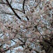 ヒメ日記 2026/03/30 08:59 投稿 中沢　つき ギン妻パラダイス 谷九店