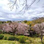 ヒメ日記 2026/04/01 08:58 投稿 中沢　つき ギン妻パラダイス 谷九店