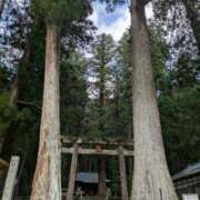 ヒメ日記 2026/04/04 08:54 投稿 中沢　つき ギン妻パラダイス 谷九店