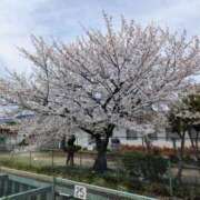 ヒメ日記 2026/04/07 08:48 投稿 中沢　つき ギン妻パラダイス 谷九店