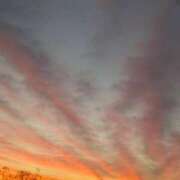 ヒメ日記 2026/04/09 08:39 投稿 中沢　つき ギン妻パラダイス 谷九店