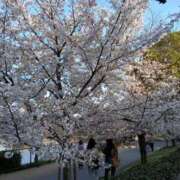 ヒメ日記 2026/04/10 22:51 投稿 中沢　つき ギン妻パラダイス 谷九店