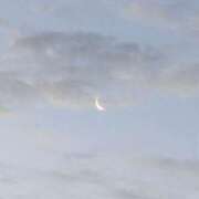 ヒメ日記 2026/04/14 08:45 投稿 中沢　つき ギン妻パラダイス 谷九店