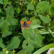 ヒメ日記 2026/04/27 21:19 投稿 中沢　つき ギン妻パラダイス 谷九店