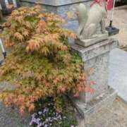ヒメ日記 2026/05/21 09:11 投稿 中沢　つき ギン妻パラダイス 谷九店