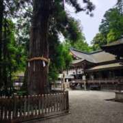 ヒメ日記 2026/06/02 11:11 投稿 中沢　つき ギン妻パラダイス 谷九店