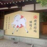 ヒメ日記 2026/08/08 08:54 投稿 中沢　つき ギン妻パラダイス 谷九店