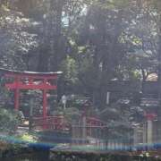 ヒメ日記 2026/09/26 08:59 投稿 中沢　つき ギン妻パラダイス 谷九店