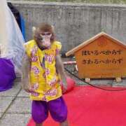 ヒメ日記 2026/09/28 08:59 投稿 中沢　つき ギン妻パラダイス 谷九店