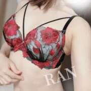 ヒメ日記 2025/02/20 00:00 投稿 らん 横浜駅前M性感rooM