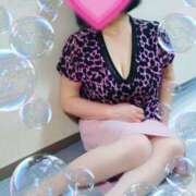 ヒメ日記 2025/05/20 15:30 投稿 まちこ 汁婆クラブ