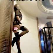 ヒメ日記 2025/05/03 09:01 投稿 冬　さくら ソープランド蜜 人妻・美熟女専門店