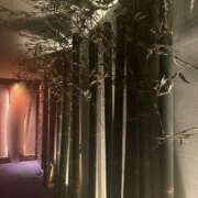 ヒメ日記 2025/05/09 08:42 投稿 冬　さくら ソープランド蜜 人妻・美熟女専門店