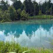 ヒメ日記 2025/07/12 07:02 投稿 冬　さくら ソープランド蜜 人妻・美熟女専門店