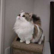 ヒメ日記 2025/09/18 17:58 投稿 ここ マダムロゼ