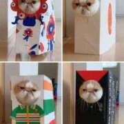 ヒメ日記 2025/09/28 17:28 投稿 ここ マダムロゼ