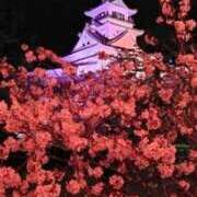 ヒメ日記 2026/04/07 11:48 投稿 ここ マダムロゼ