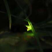 ヒメ日記 2026/05/16 15:56 投稿 ここ マダムロゼ