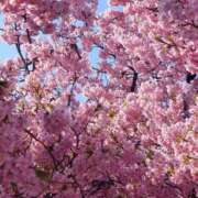 ヒメ日記 2026/01/19 08:00 投稿 雫（しずく） エッチな熟女(熊谷)