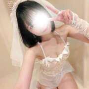 ヒメ日記 2026/06/30 23:34 投稿 かりん 池袋コスプレサンシャイン（シンデレラグループ）