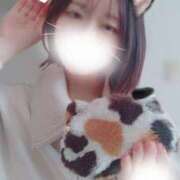 ヒメ日記 2025/04/23 08:00 投稿 まい 脱がされたい人妻 春日部店