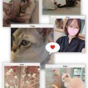 ヒメ日記 2025/08/17 22:00 投稿 まい 脱がされたい人妻 春日部店