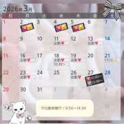 ヒメ日記 2026/03/05 08:00 投稿 まい 脱がされたい人妻 春日部店