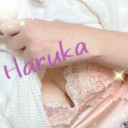 ヒメ日記 2025/01/27 14:48 投稿 はるか Barneys(バーニーズ)